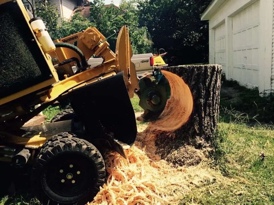 Stump grinding next to a garage.