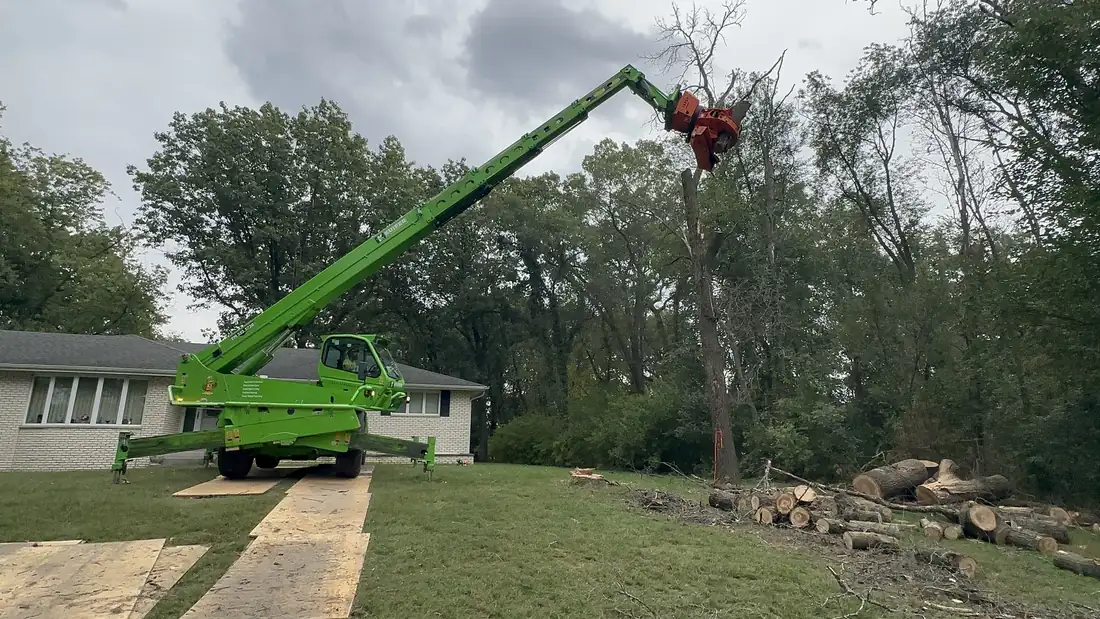 Grapple saw taking the top out of a dead tree.