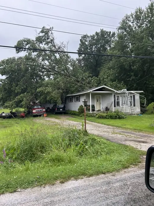 Uprooted tree resting on a house