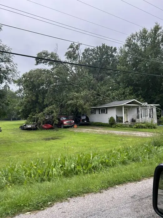 Tree and house from the yard