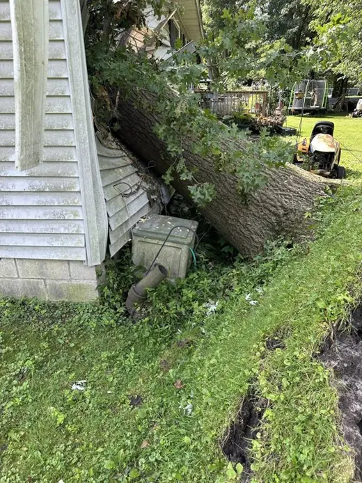 Trunk against damaged siding
