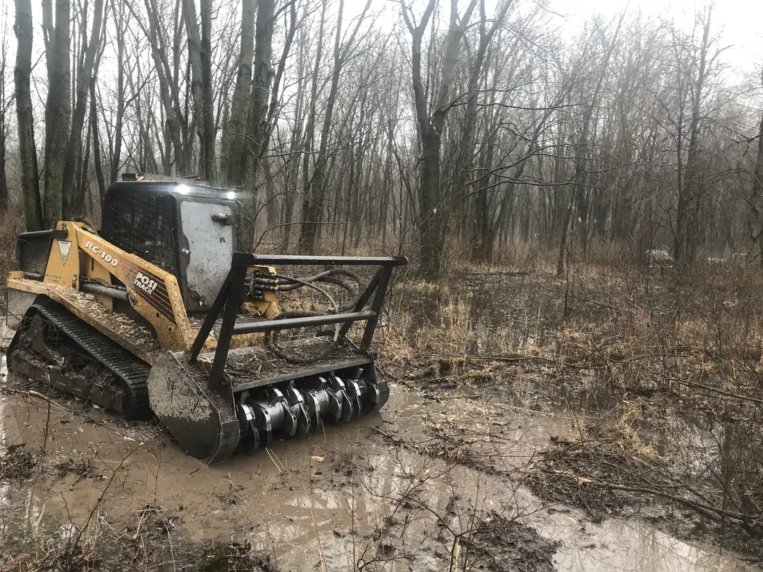 Clearing in wet, flooded woods.