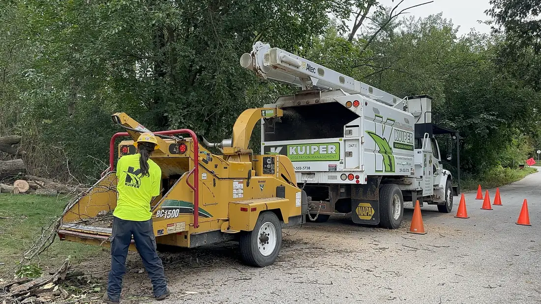 Bucket truck and chipper on a roadside job.